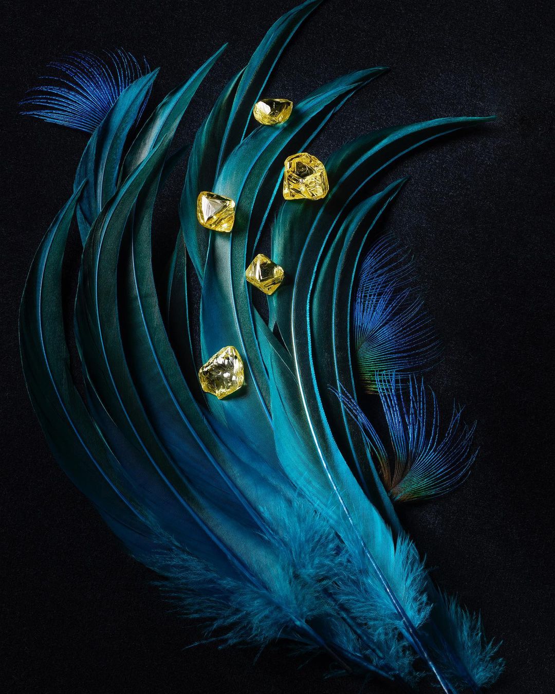 Dramatic still life with yellow uncut diamonds resting on layered blue-green feathers against a textured black background, studio lighting.