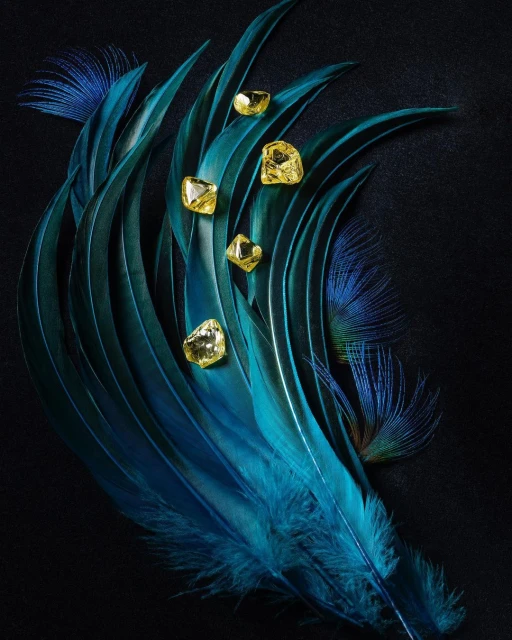 Dramatic still life with yellow uncut diamonds resting on layered blue-green feathers against a textured black background, studio lighting.
