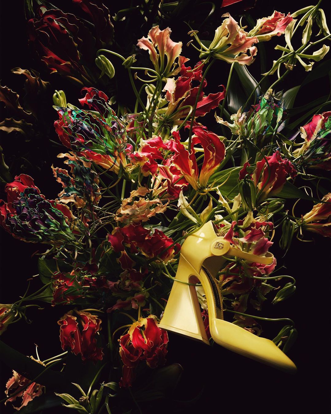 High heel shoe sits amongst red and yellow flame lily flowers against a dark backdrop, creating a vibrant and surreal visual.