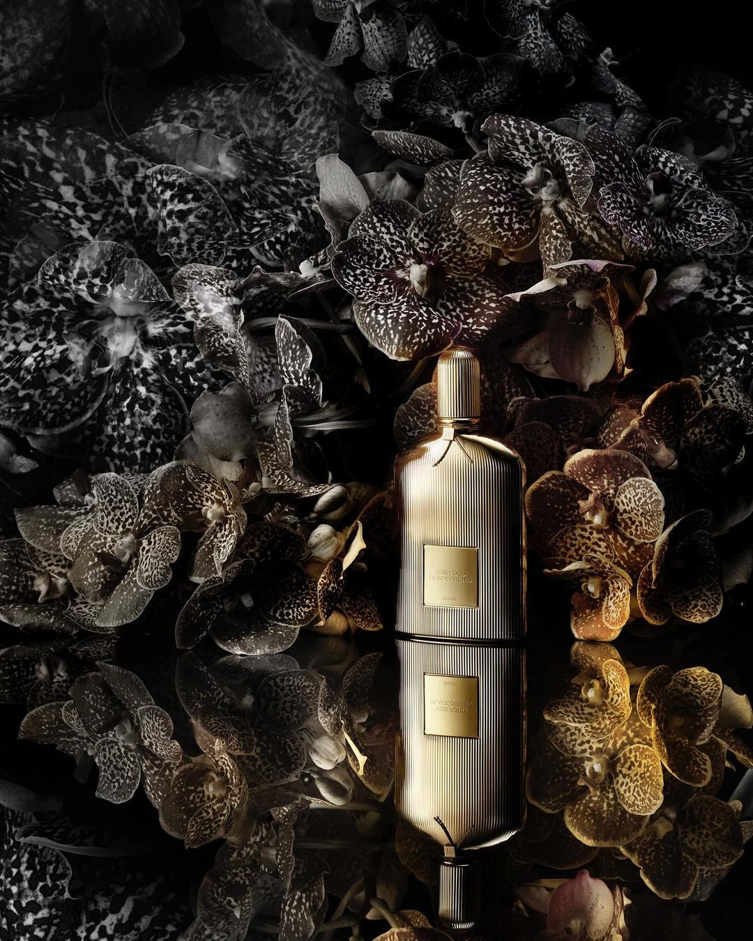 A bottle of perfume is reflected on a glossy surface, surrounded by orchids in various shades of brown and black in a studio setting.