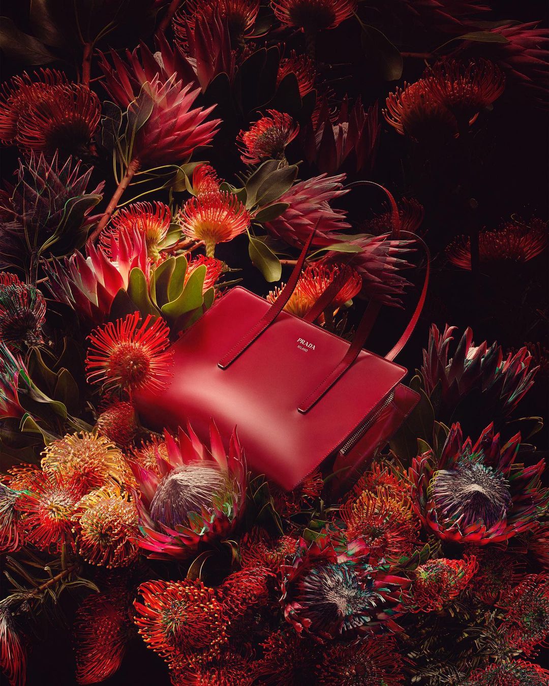 Red Prada handbag surrounded by vibrant red and orange protea flowers against a dark background in a lush floral display.