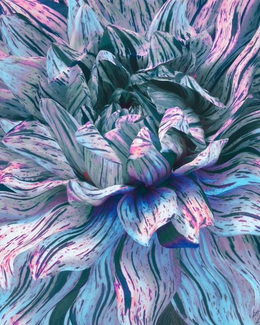 Close-up of a striking flower with patterned petals in shades of blue, green, and pink, showcasing the beauty of botanical art.