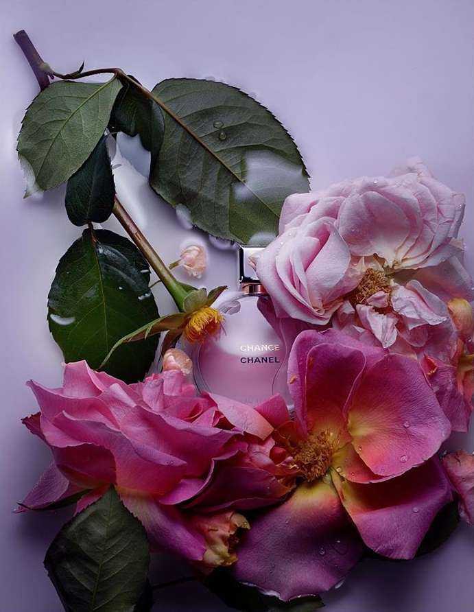A bottle of Chanel Chance perfume is displayed amongst pink roses and green leaves, all set against a soft purple backdrop.