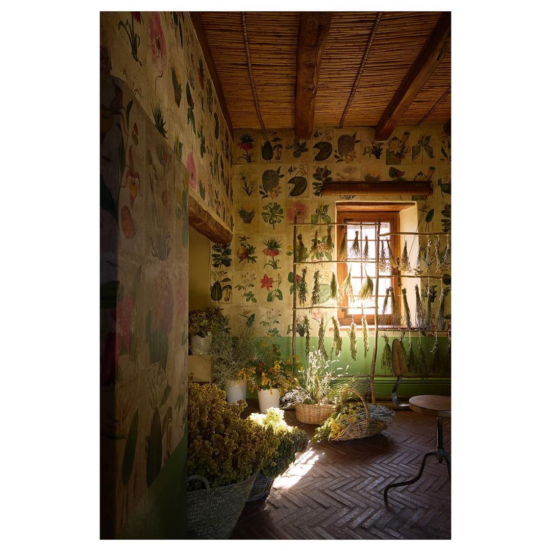 Rustic indoor scene with flower and plant arrangements in baskets, decorative plant wallpaper, and natural light from a window.