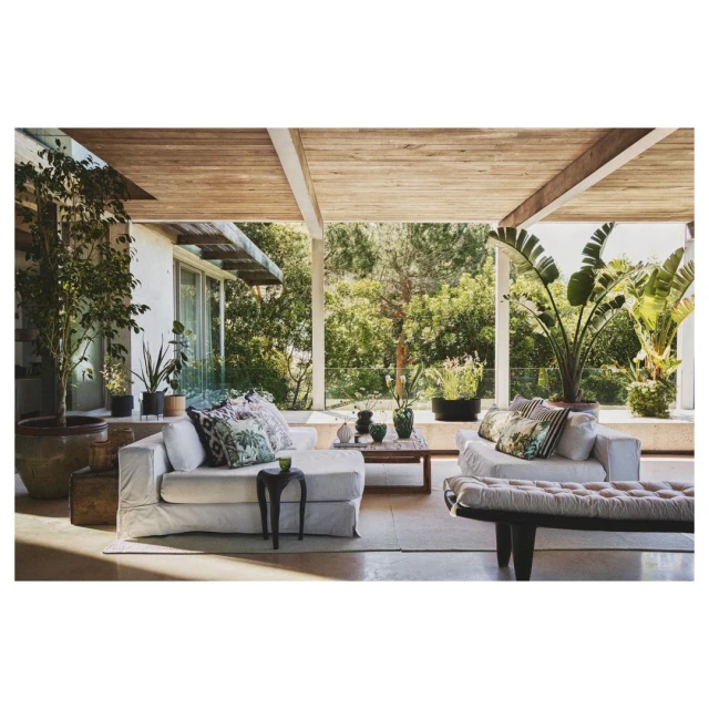 Sunlit veranda with a white slip-covered sofa, cushioned bench, and tropical plants, creating a relaxing indoor-outdoor living space.
