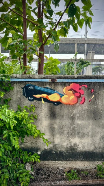 Graffiti art on a weathered concrete wall features a cartoon sports car with flames, vibrant colors, and surrounding green foliage.