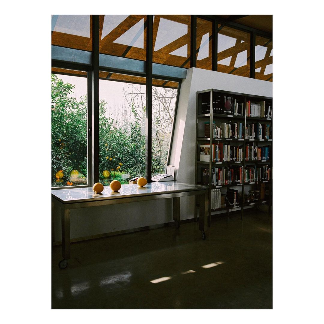Interior shot of a library featuring a table with oranges, bookshelves, and a large window overlooking a garden with green foliage.