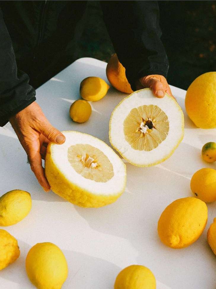 Hands holding a halved pomelo fruit on a white table, surrounded by whole lemons. Captured in natural lighting, creating a fresh food image.