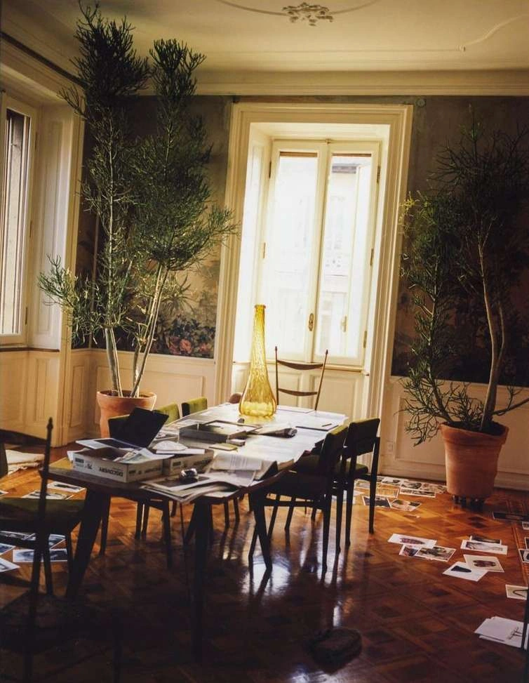 Interior shot of a dining room with a long table covered in papers and tall potted plants by Iris Humm