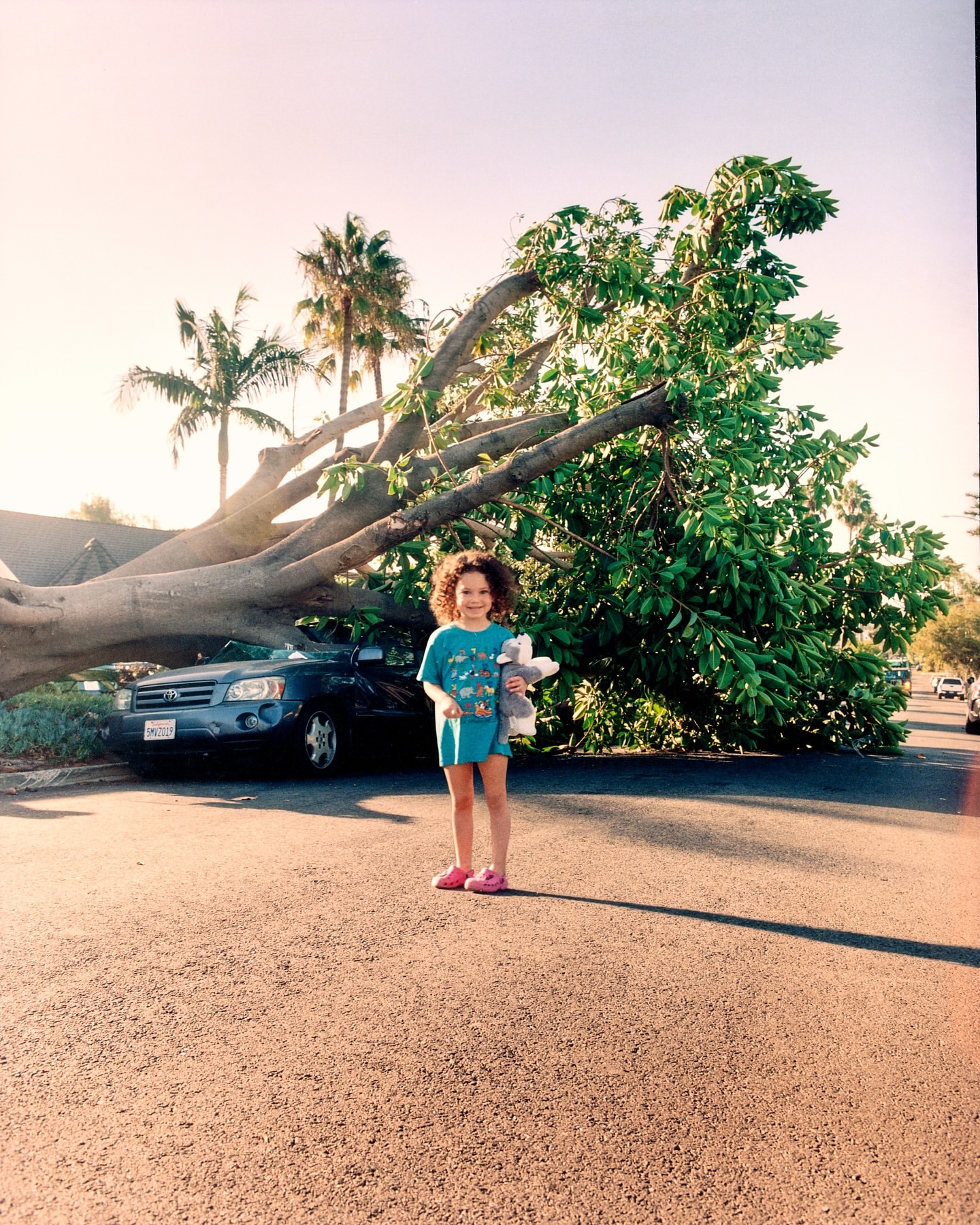 Young girl holding a stuffed animal stands in front of a fallen tree covering a car on a suburban street at sunset.
