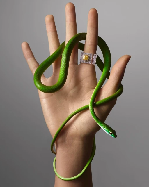 Eye-level shot of a hand with a yellow diamond ring and a bright green snake coiled around fingers, set against a neutral grey backdrop.