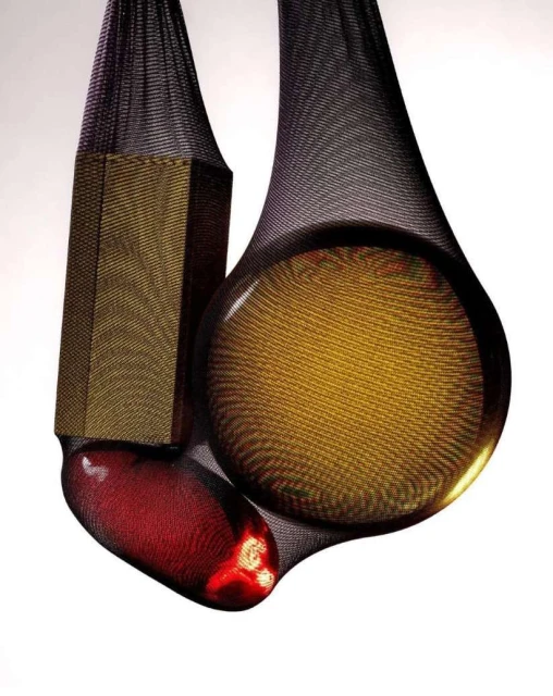 Close-up of translucent objects in black mesh: an amber disc, red oblong, and gold hexagon create an abstract, textured composition.
