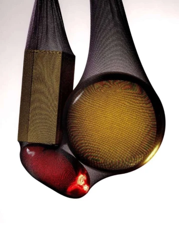 Close-up of translucent objects in black mesh: an amber disc, red oblong, and gold hexagon create an abstract, textured composition.