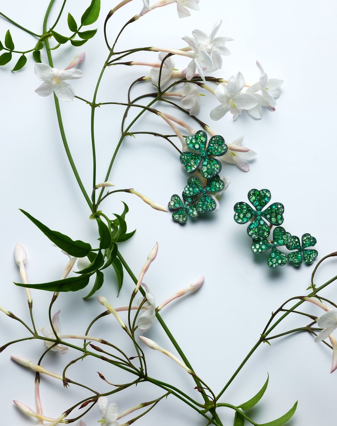 Close-up of green, sparkling clover-shaped jewelry interspersed with white jasmine flowers and vibrant green foliage on a white backdrop.