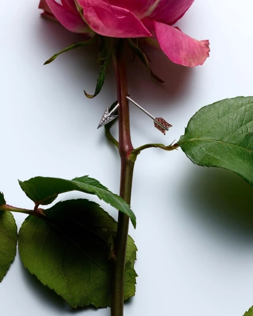 A pink rose with green leaves has a silver arrow piercing its stem against a white background in a close-up studio shot.