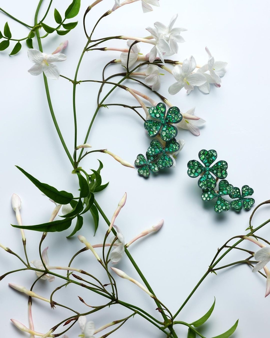 Close-up still life of green clover jewelry and white jasmine flowers on a white surface, showcasing jewelry and botanical elements.