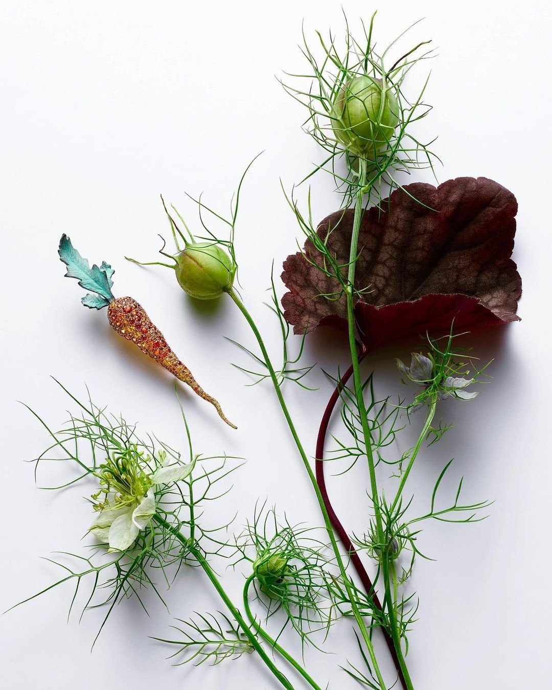 A stylized carrot and fresh Nigella flower arrangement on a white background, featuring dark red foliage and spiky-edged seed pods.