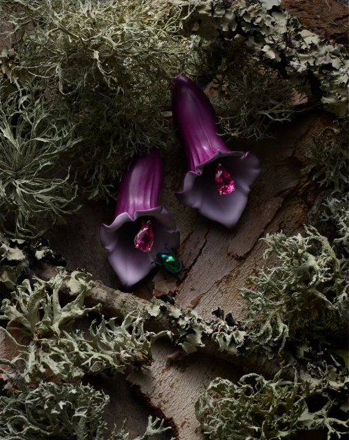 Close-up of two purple bellflower earrings with pink gemstones and a green beetle, set against a backdrop of weathered wood and lichen.