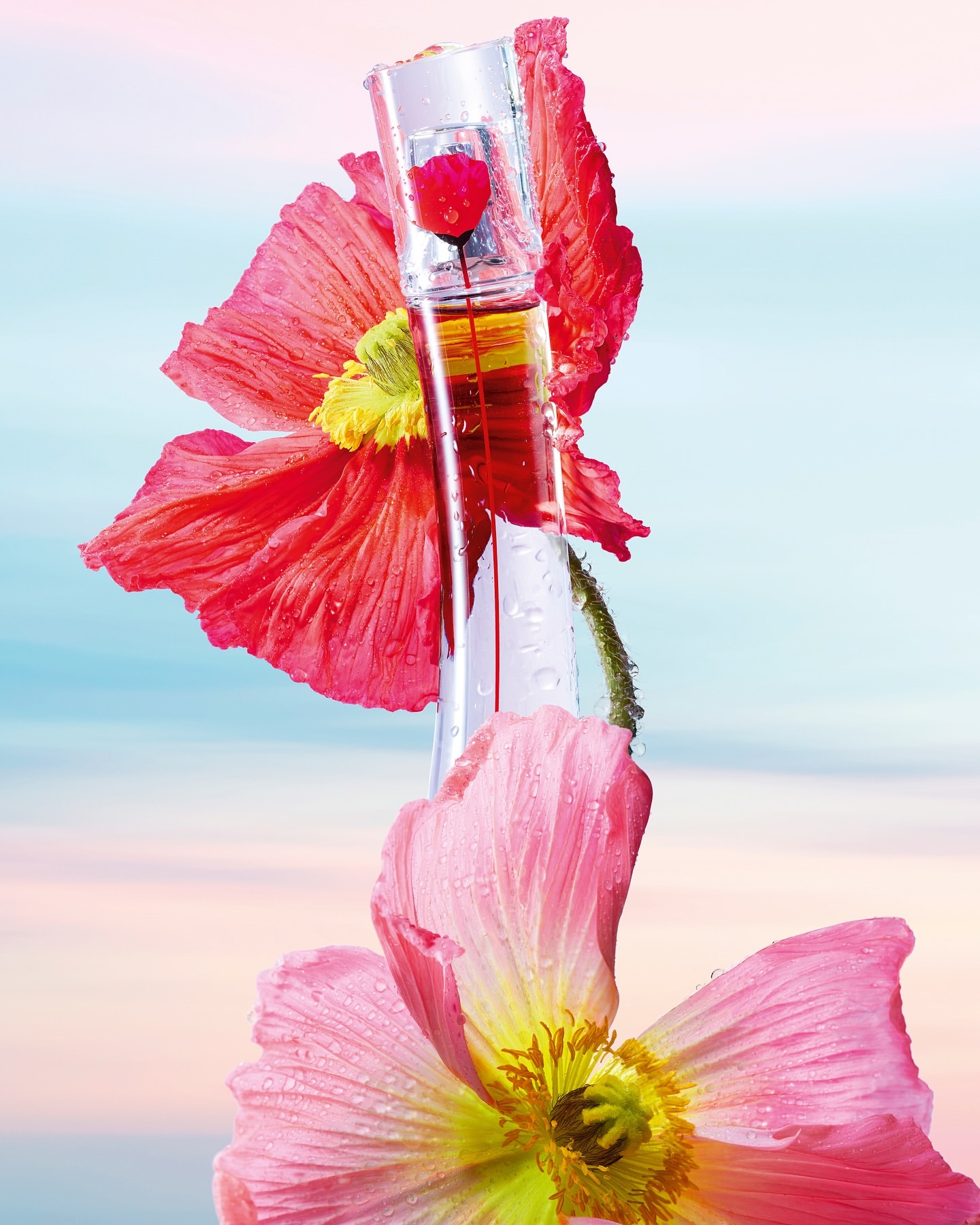 Product shot of a perfume bottle placed between pink and red poppy flowers against a gradient pastel blue background with soft lighting.
