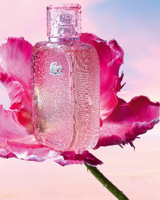 Close-up shot of a light-pink Lacoste perfume bottle adorned with water droplets, nestled in a pink tulip flower with a pink sky backdrop.