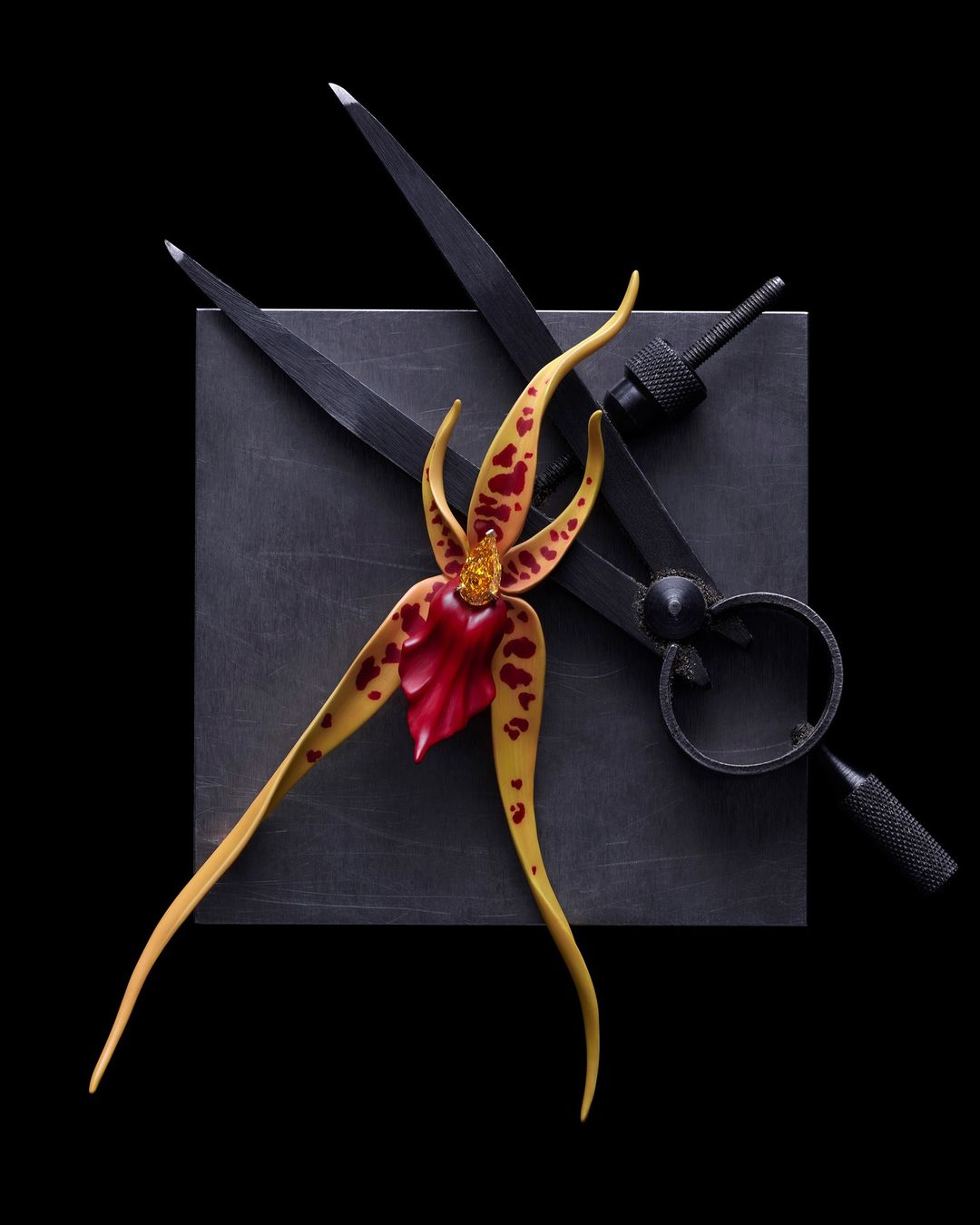Close-up still life of an orchid blossom next to a black metal square and drafting compass, set against a black backdrop.