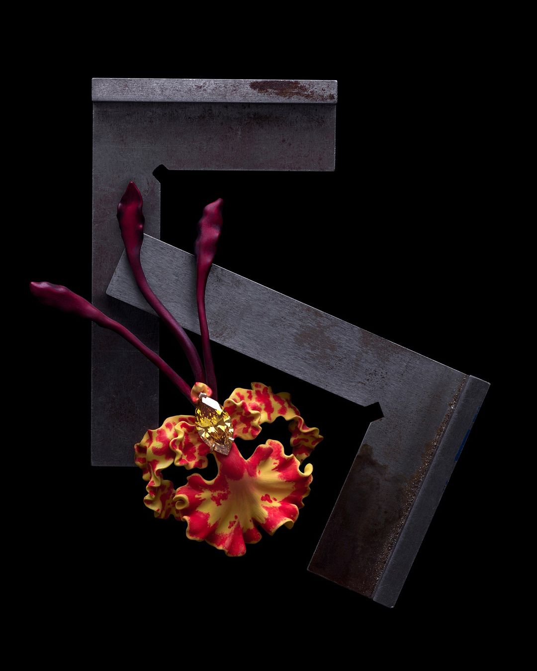 Yellow and red mottled orchid with three dark red tendrils, juxtaposed with rusted metal L-square drafting tools against black.