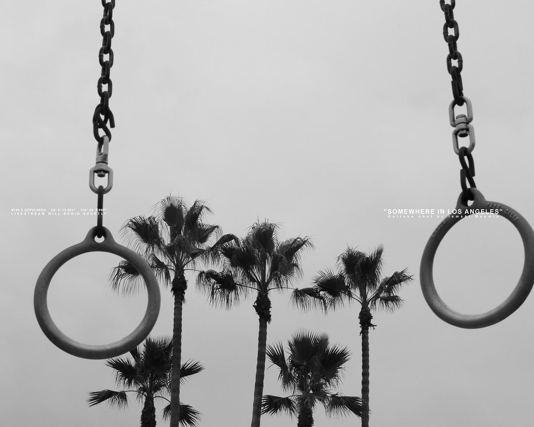 Black and white view of gym rings hanging in the foreground with several palm trees lining the horizon against a cloudy sky.