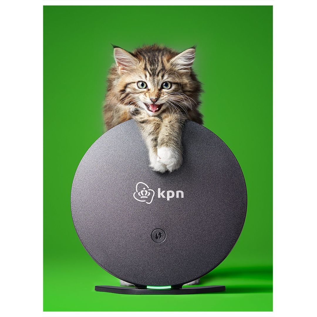 Fluffy brown tabby kitten with paws on top of a round KPN modem against a green background in a studio shot.
