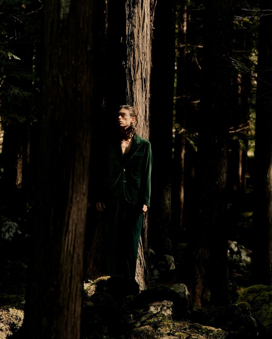 A man in a green velvet suit stands among tall trees in a forest, captured with natural light casting dramatic shadows.