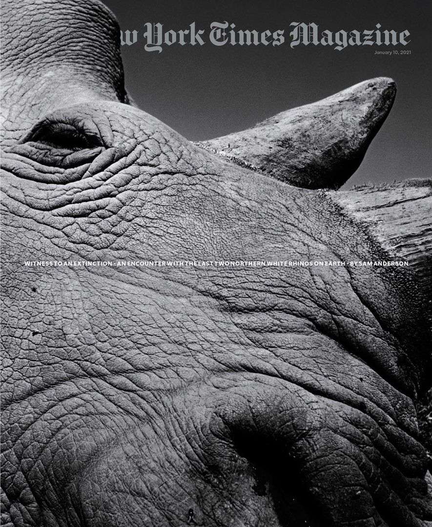 Black and white extreme close-up of a rhino's face with detailed skin texture, horn, and eye, featured on the cover of New York Times Magazine.