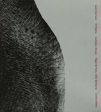 Close-up image of an elephant's hide, revealing its unique texture. The dark, textured skin dominates the left frame, with light gray space.