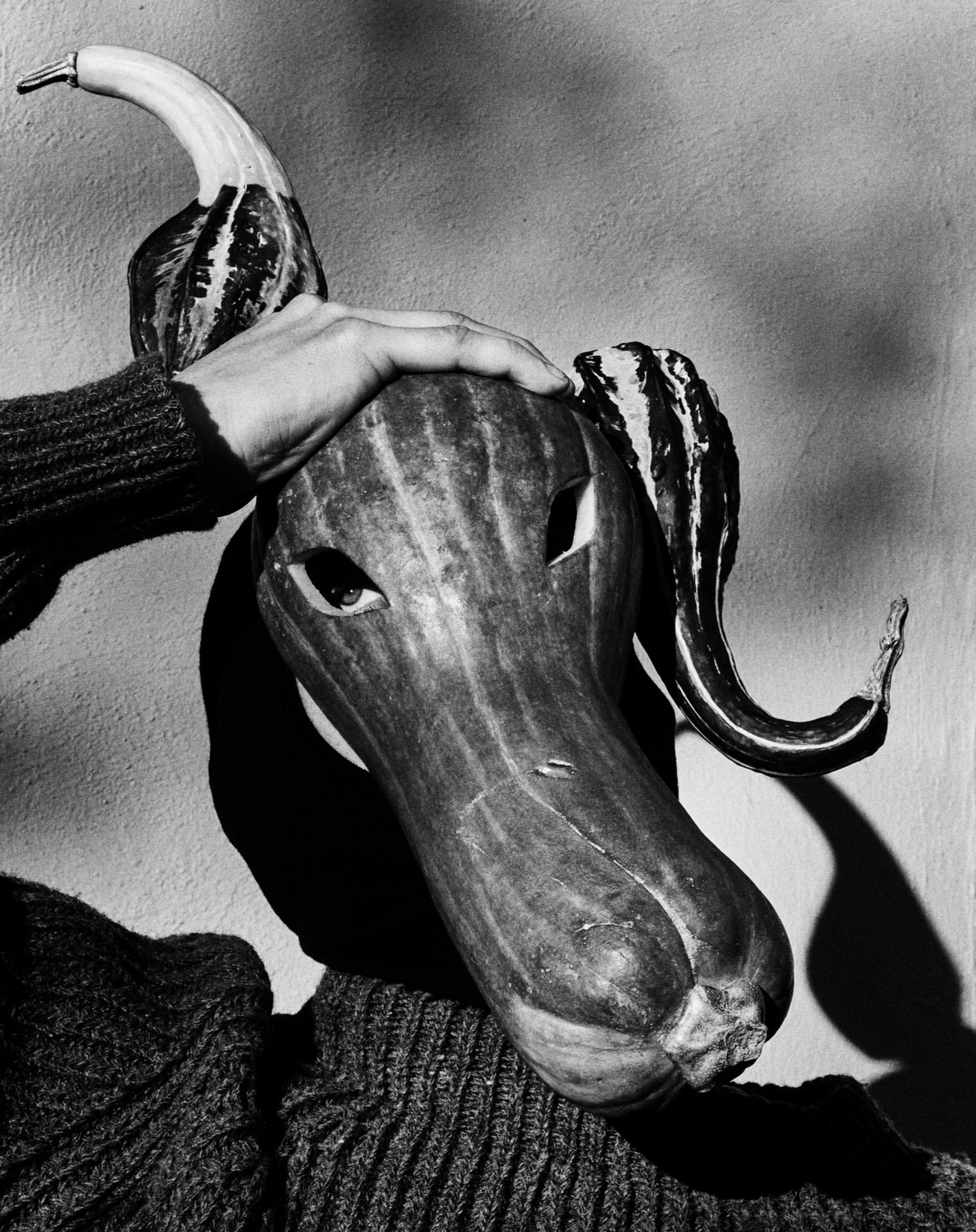 Person holds a butternut squash with eye holes cut into it, and decorative gourds attached as horns, posing creatively indoors.
