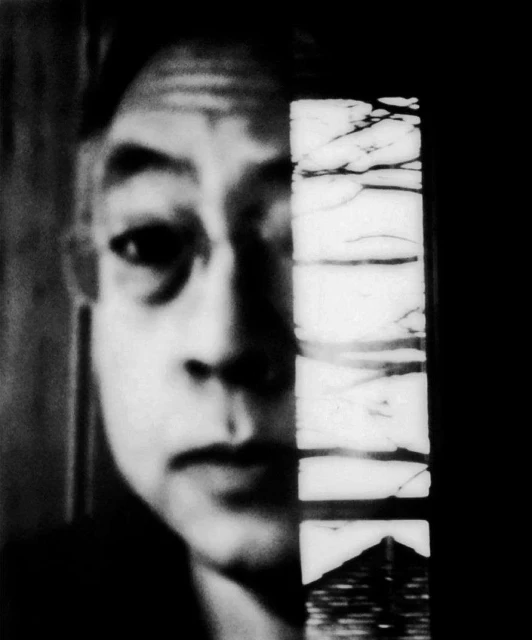 Monochrome portrait of an adult with a serious expression, partially obscured by a textured, layered object against a dark background.