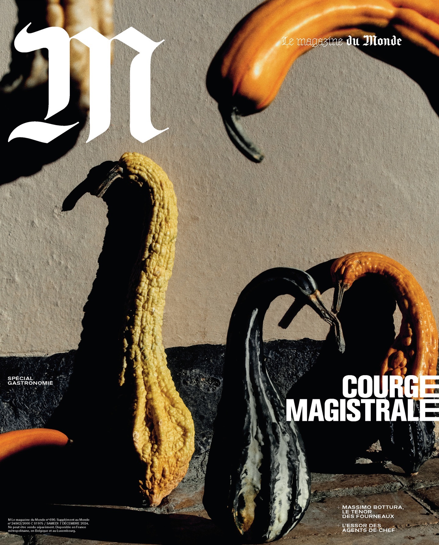Magazine cover featuring assorted gourds with various textures, sizes, and colors against a neutral stone-like background. Bold sans-serif typography.