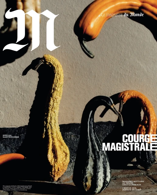 Magazine cover featuring assorted gourds with various textures, sizes, and colors against a neutral stone-like background. Bold sans-serif typography.