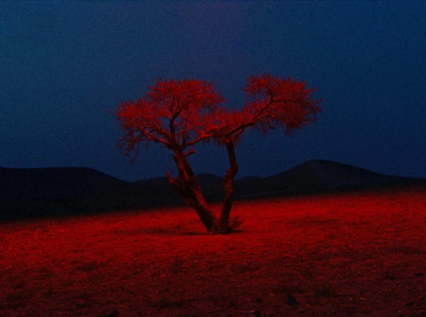 Red-lit tree stands in a field against a dark blue sky and silhouetted hills, creating a striking contrast of color and form.