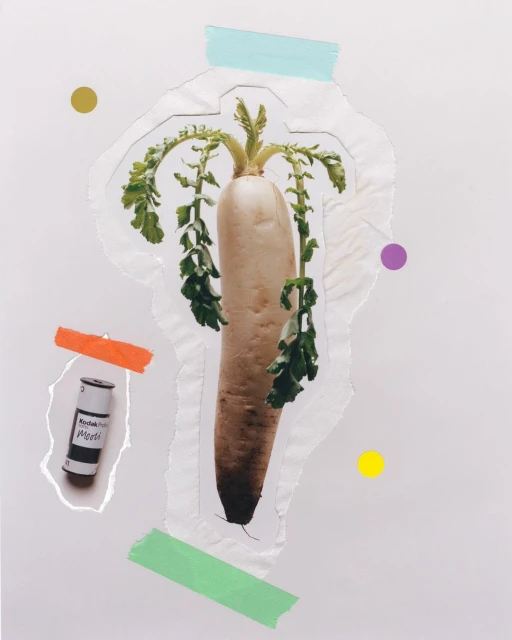 Daikon radish art collage on white with colorful tape, food photography, white background, green leafy vegetables, film canister.