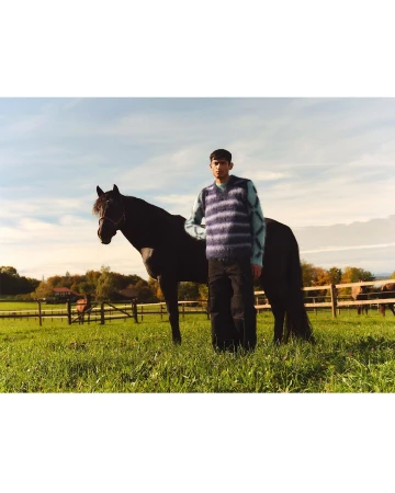 Man and dark brown horse in a sunny, grassy field with a fence and trees in the background under a partly cloudy sky.