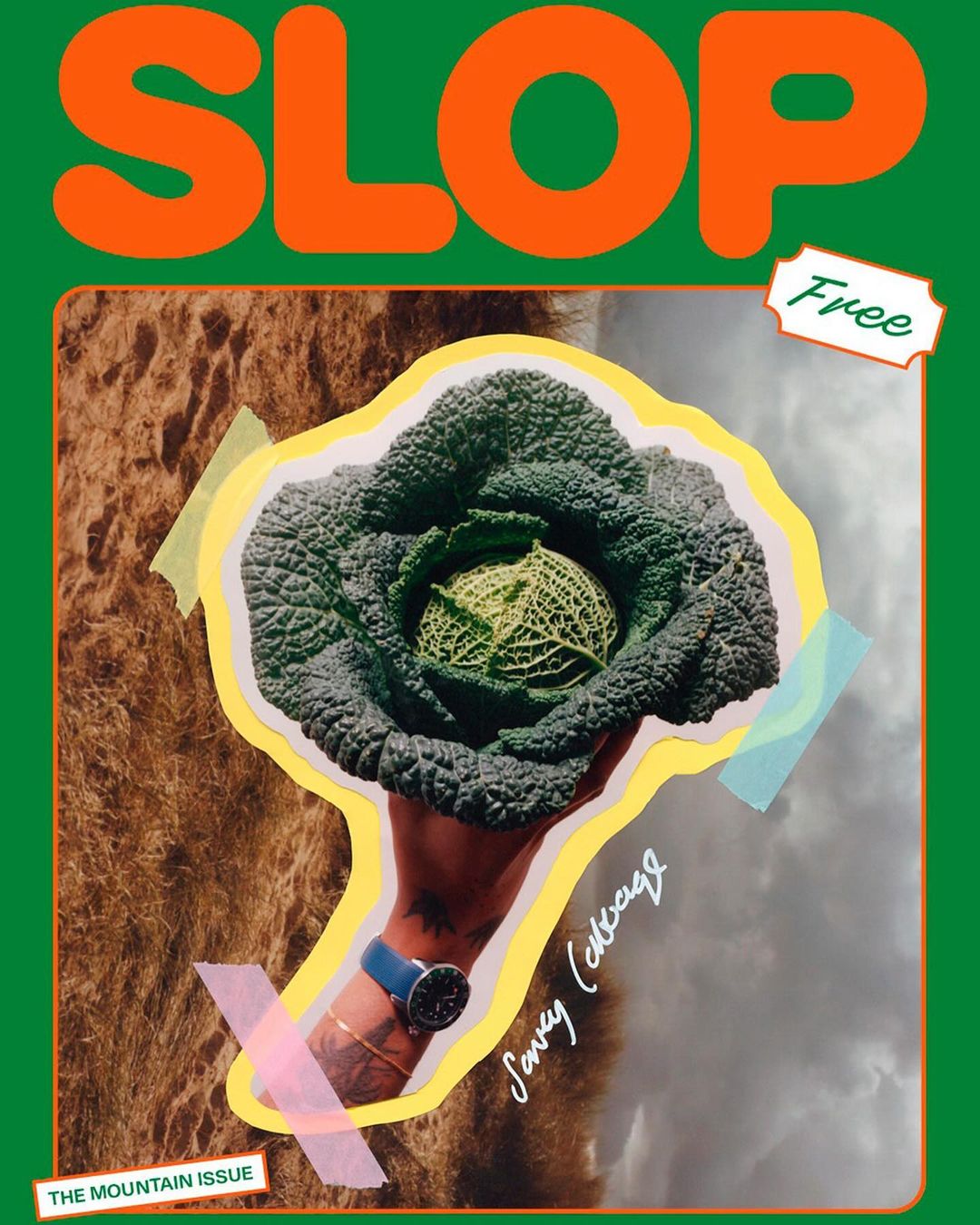 Magazine cover art with a Savoy cabbage held in a hand in front of a mountain landscape, featuring bold lettering and a green border.