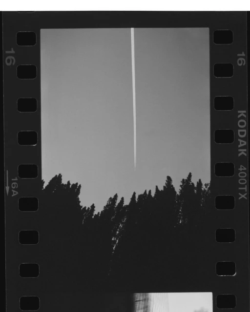 Black and white film photograph of jet contrail in the sky above silhouetted trees; film border and Kodak 400TX text on edge.
