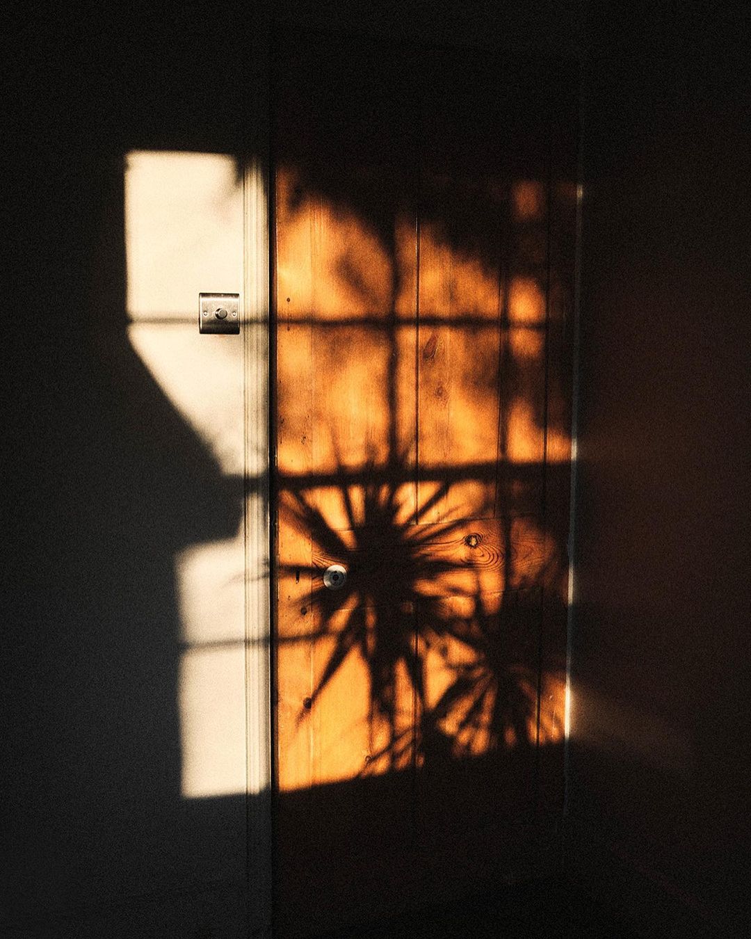 Sunlight casts shadows of window grilles and foliage on a closed wooden door, creating a warm, evocative contrast against the adjacent wall.