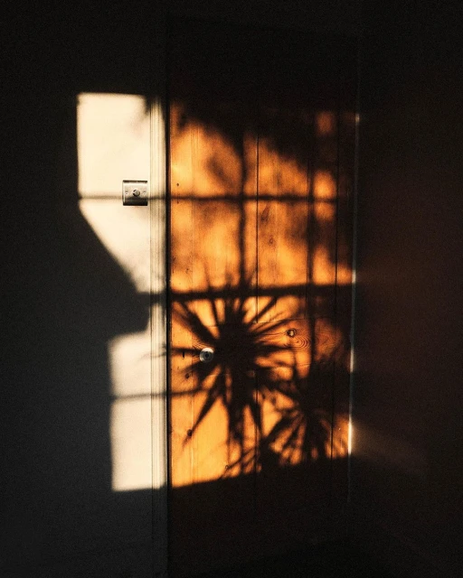 Sunlight casts shadows of window grilles and foliage on a closed wooden door, creating a warm, evocative contrast against the adjacent wall.