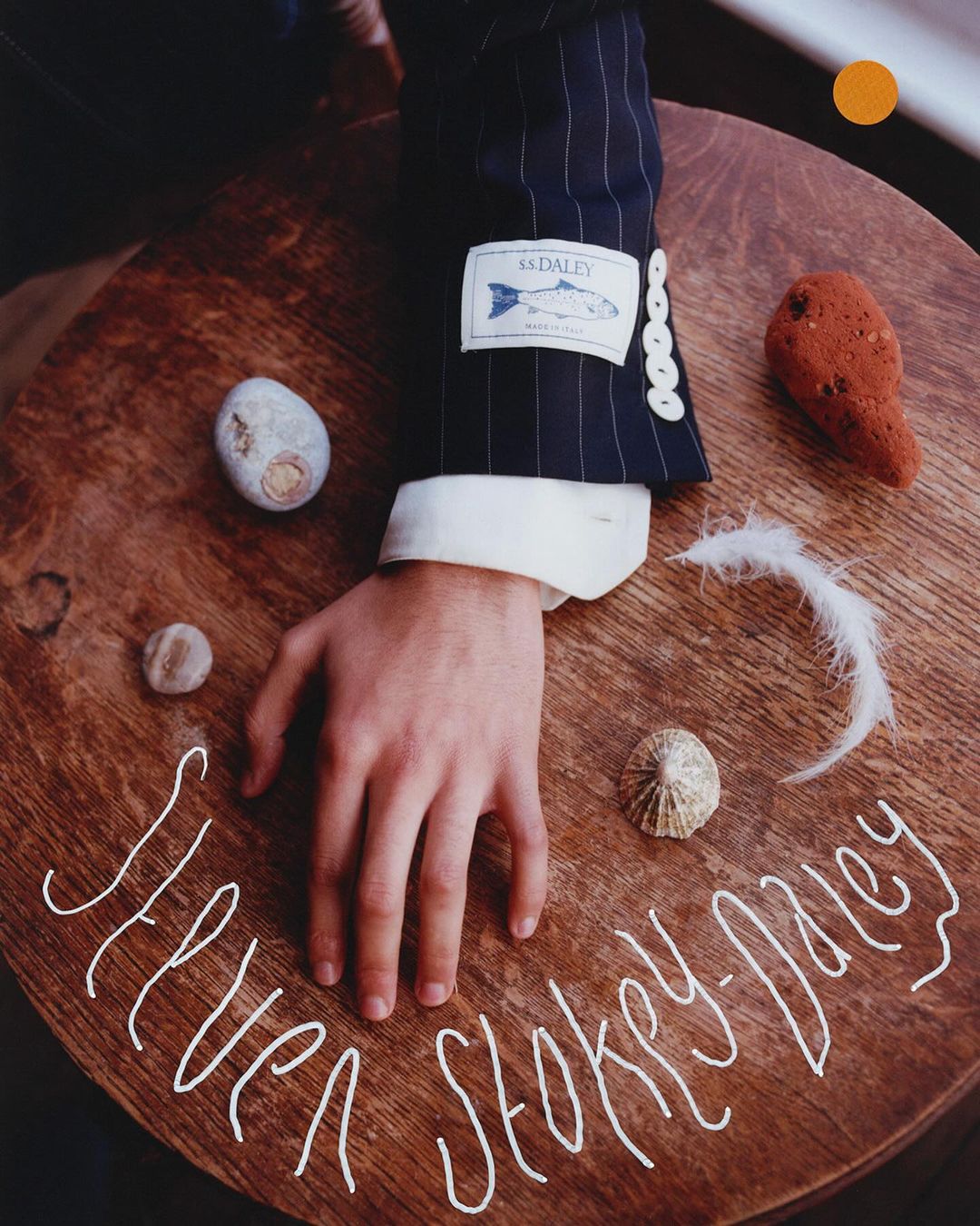 Person's hand rests on a wooden table displaying an SS Daley suit sleeve, sea shells, a feather, and the brand name in handwritten text.