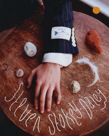 Person's hand rests on a wooden table displaying an SS Daley suit sleeve, sea shells, a feather, and the brand name in handwritten text.