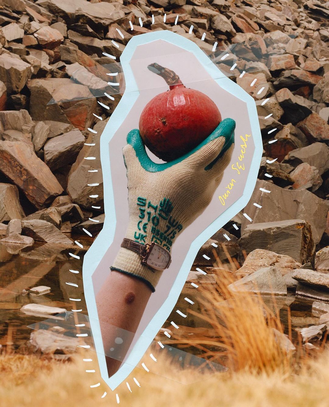 Gloved hand holding a red fruit against a collage background of rocks and dry grass, framed by a light blue border.