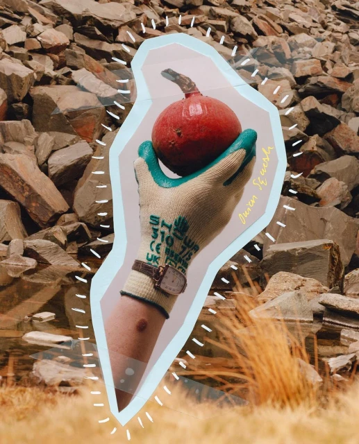 Gloved hand holding a red fruit against a collage background of rocks and dry grass, framed by a light blue border.