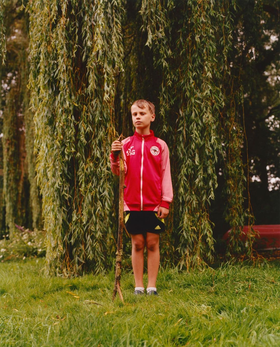 Boy stands outdoors holding stick, wearing a pink jacket and shorts in front of a weeping willow tree. Natural outdoor light.