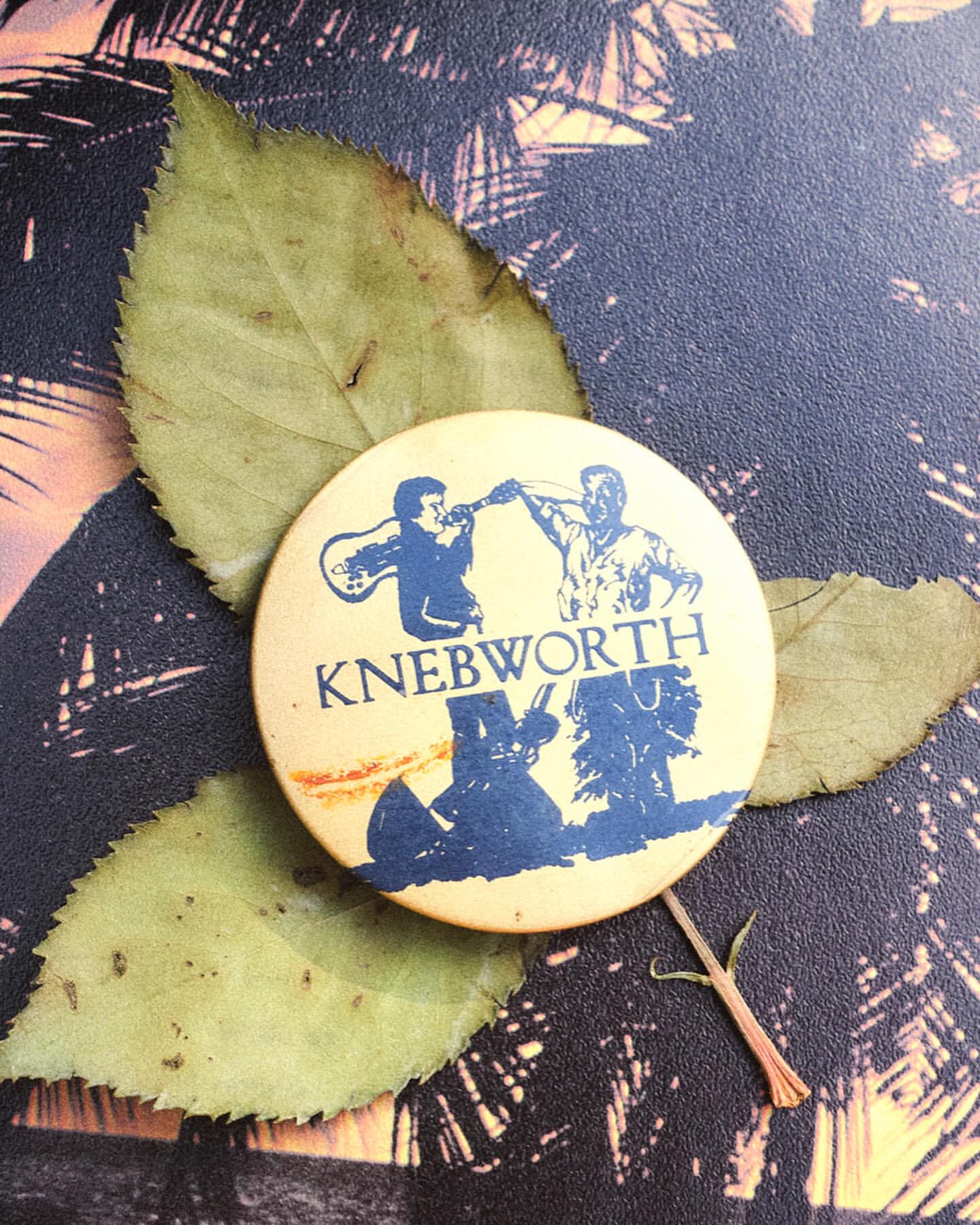 Knebworth pin with musicians performing is surrounded by green leaves on a textured backdrop with a palm tree motif.