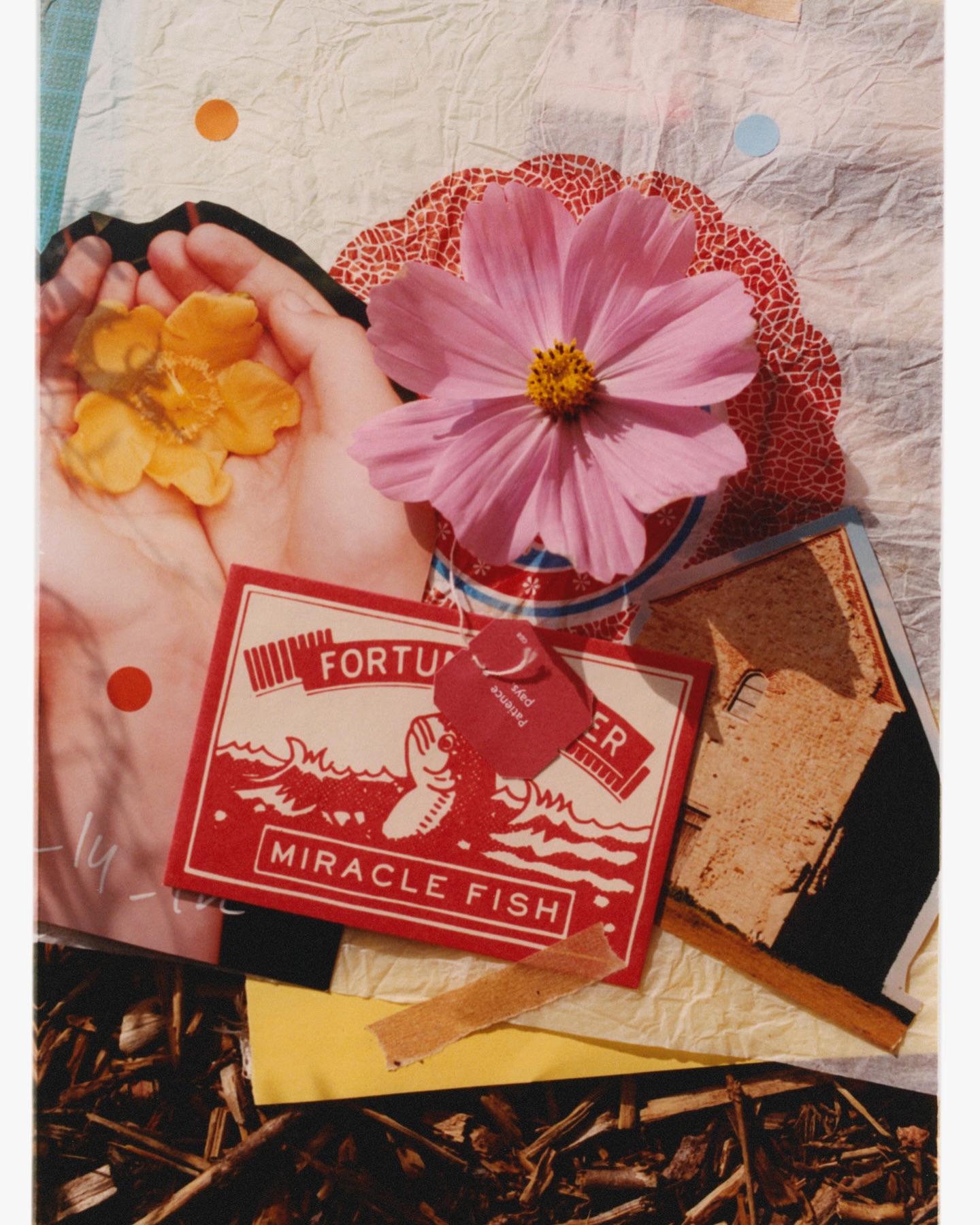 Artistic collage with hands holding a yellow flower, a pink cosmos bloom, and a Miracle Fish fortune card among mixed media textures.