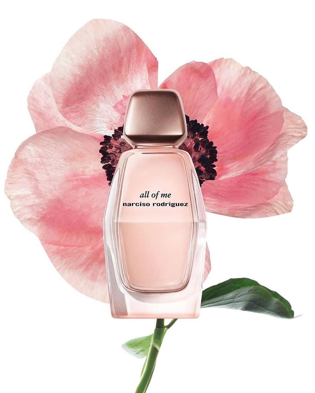 A bottle of Narciso Rodriguez 'all of me' perfume stands in front of a pale pink flower, shot in a studio with soft, diffused lighting.